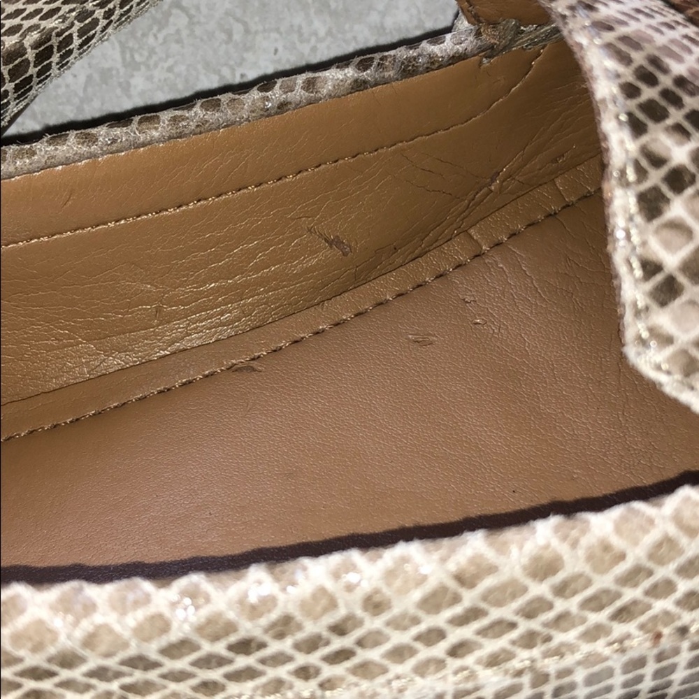 Olive Sand Printed Snake Coach Shoes - Picture 11 of 16